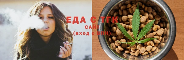 индика Дмитров