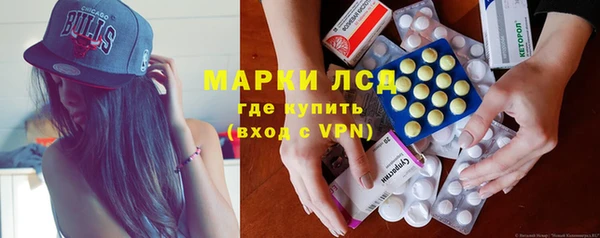 индика Дмитров
