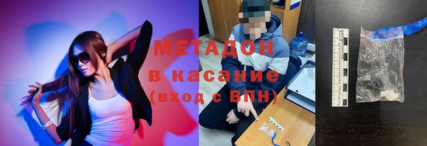 индика Дмитров