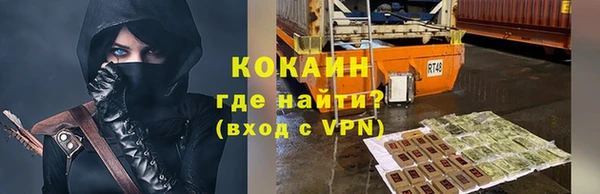 индика Дмитров