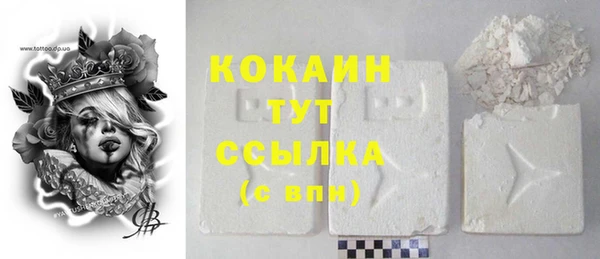 индика Дмитров