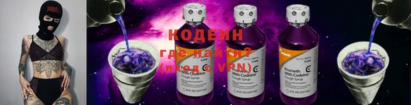 индика Дмитров