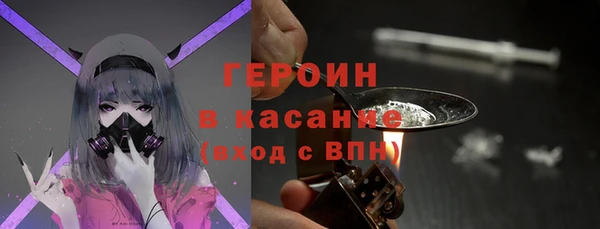индика Дмитров