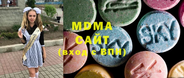 индика Дмитров