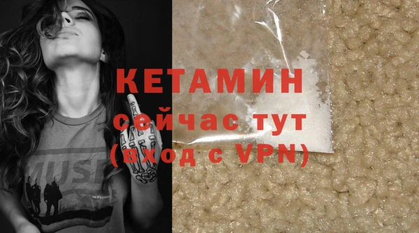 индика Дмитров