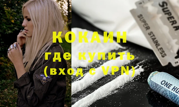 индика Дмитров