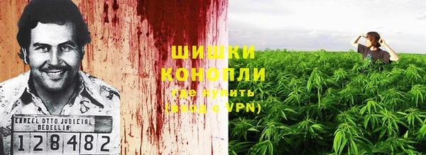 твердый Дмитриев