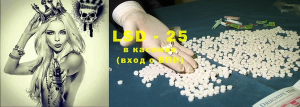 индика Дмитров