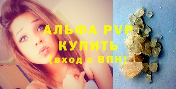 индика Дмитров