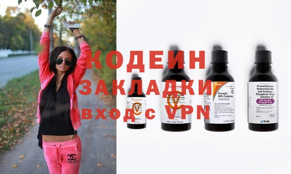 индика Дмитров