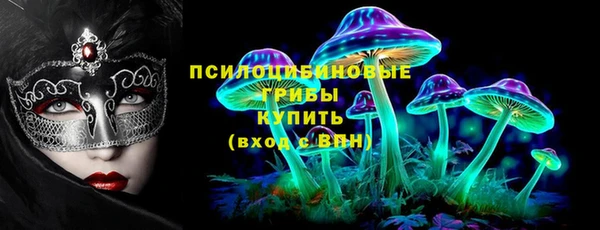 твердый Дмитриев