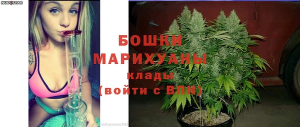 индика Дмитров