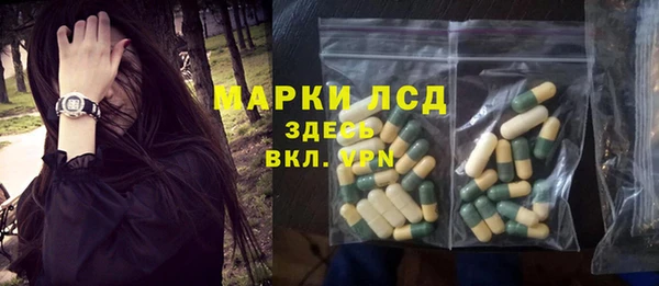 индика Дмитров