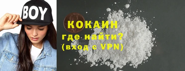 индика Дмитров