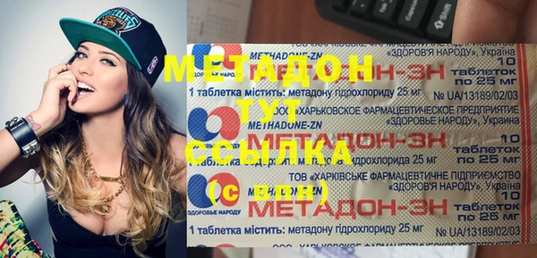 индика Дмитров