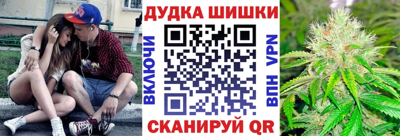 Купить где  Белогорск  Конопля Amnesia 